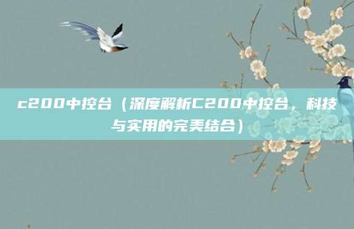 c200中控台（深度解析C200中控台，科技与实用的完美结合）