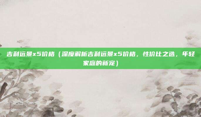 吉利远景x5价格（深度解析吉利远景x5价格，性价比之选，年轻家庭的新宠）