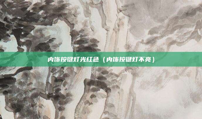 内饰按键灯光红色(内饰按键灯不亮)