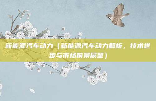 新能源汽车动力（新能源汽车动力解析，技术进步与市场前景展望）