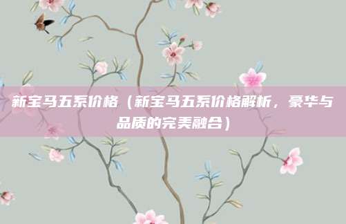 新宝马五系价格（新宝马五系价格解析，豪华与品质的完美融合）
