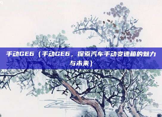 手动GE6（手动GE6，探索汽车手动变速箱的魅力与未来）
