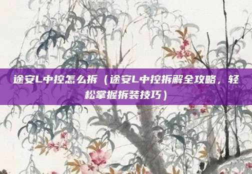 途安L中控怎么拆（途安L中控拆解全攻略，轻松掌握拆装技巧）