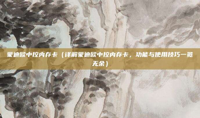 蒙迪欧中控内存卡（详解蒙迪欧中控内存卡，功能与使用技巧一览无余）