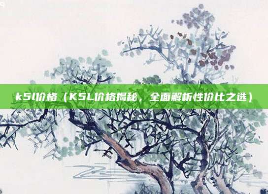 k5l价格（K5L价格揭秘，全面解析性价比之选）
