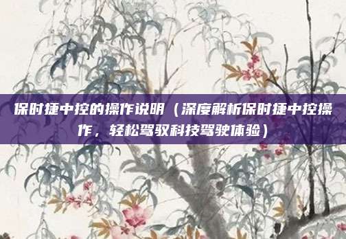 保时捷中控的操作说明（深度解析保时捷中控操作，轻松驾驭科技驾驶体验）