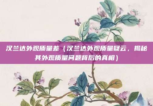 汉兰达外观质量差（汉兰达外观质量疑云，揭秘其外观质量问题背后的真相）