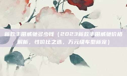 新款丰田威驰多少钱（2023新款丰田威驰价格解析，性价比之选，万元级车型新宠）