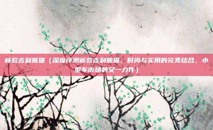 新款吉利熊猫（深度评测新款吉利熊猫，时尚与实用的完美结合，小型车市场的又一力作）