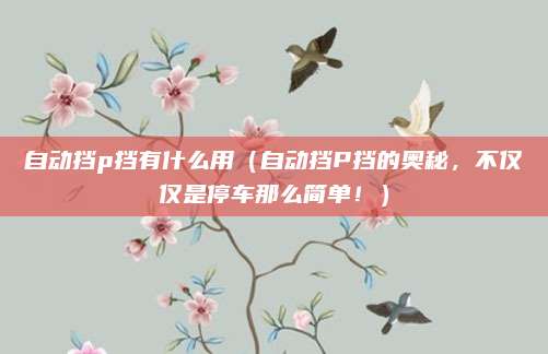 自动挡p挡有什么用（自动挡P挡的奥秘，不仅仅是停车那么简单！）