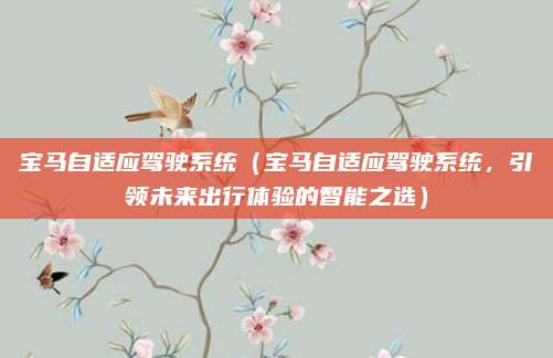宝马自适应驾驶系统（宝马自适应驾驶系统，引领未来出行体验的智能之选）