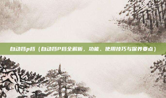 自动挡p档（自动挡P档全解析，功能、使用技巧与保养要点）