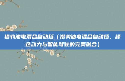 猎豹油电混合自动挡（猎豹油电混合自动挡，绿色动力与智能驾驶的完美融合）