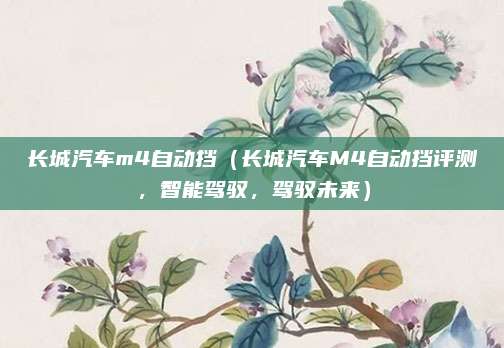 长城汽车m4自动挡（长城汽车M4自动挡评测，智能驾驭，驾驭未来）
