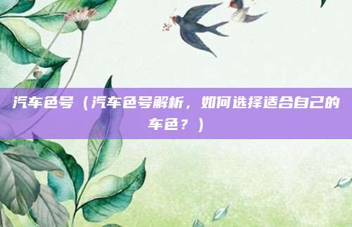 汽车色号（汽车色号解析，如何选择适合自己的车色？）