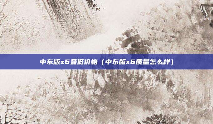 中东版x6最低价格(中东版x6质量怎么样)