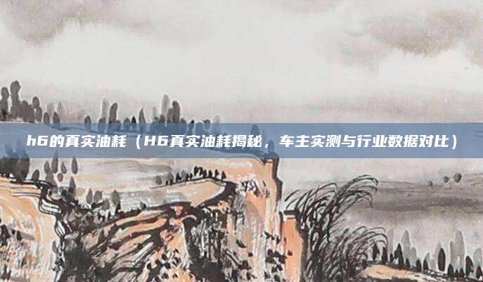 h6的真实油耗（H6真实油耗揭秘，车主实测与行业数据对比）