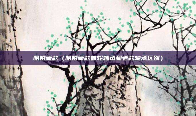 明锐新款(明锐新款前轮轴承和老款轴承区别)