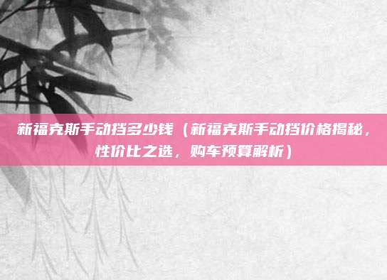 新福克斯手动挡多少钱（新福克斯手动挡价格揭秘，性价比之选，购车预算解析）