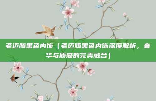 老迈腾黑色内饰（老迈腾黑色内饰深度解析，奢华与质感的完美融合）