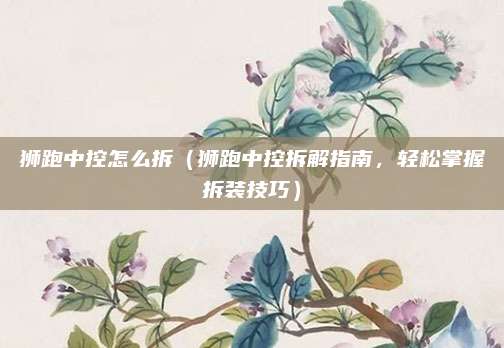 狮跑中控怎么拆（狮跑中控拆解指南，轻松掌握拆装技巧）