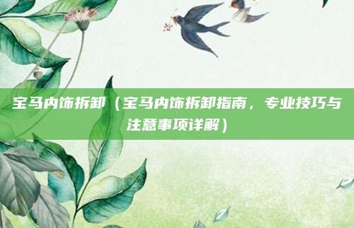 宝马内饰拆卸（宝马内饰拆卸指南，专业技巧与注意事项详解）