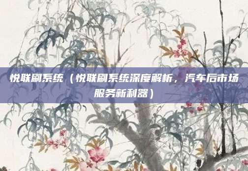 悦联刷系统（悦联刷系统深度解析，汽车后市场服务新利器）