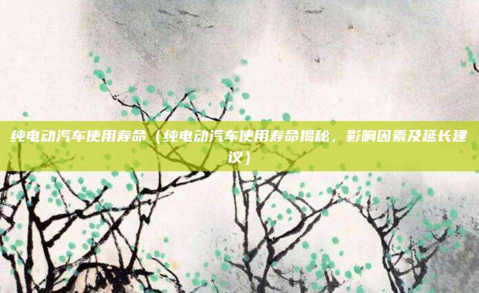 纯电动汽车使用寿命（纯电动汽车使用寿命揭秘，影响因素及延长建议）