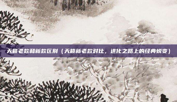 天籁老款和新款区别（天籁新老款对比，进化之路上的经典蜕变）