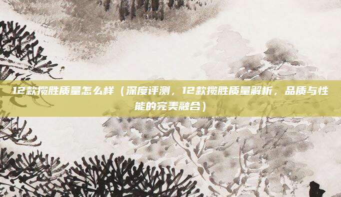 12款揽胜质量怎么样（深度评测，12款揽胜质量解析，品质与性能的完美融合）