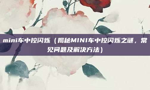 mini车中控闪烁（揭秘MINI车中控闪烁之谜，常见问题及解决方法）