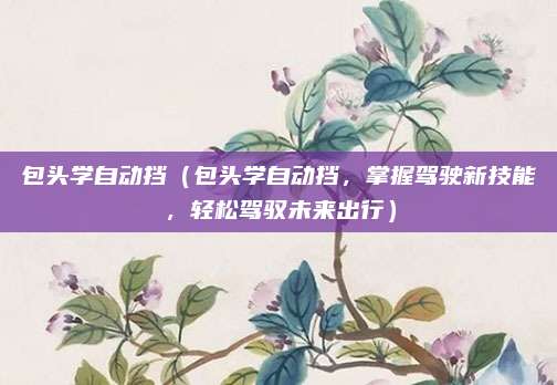包头学自动挡（包头学自动挡，掌握驾驶新技能，轻松驾驭未来出行）