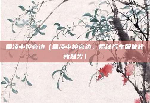 雷凌中控旁边（雷凌中控旁边，揭秘汽车智能化新趋势）