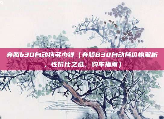奔腾b30自动挡多少钱（奔腾B30自动挡价格解析，性价比之选，购车指南）