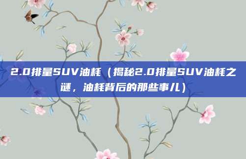 2.0排量SUV油耗（揭秘2.0排量SUV油耗之谜，油耗背后的那些事儿）