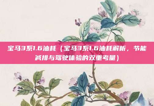 宝马3系1.6油耗（宝马3系1.6油耗解析，节能减排与驾驶体验的双重考量）