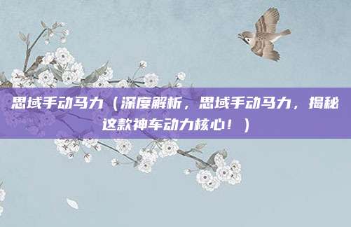 思域手动马力（深度解析，思域手动马力，揭秘这款神车动力核心！）