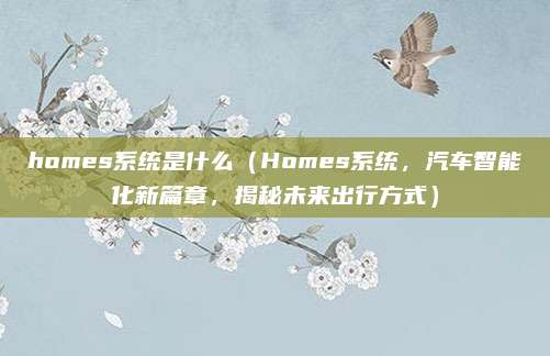homes系统是什么（Homes系统，汽车智能化新篇章，揭秘未来出行方式）