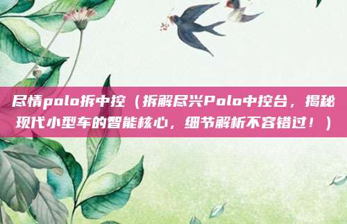 尽情polo拆中控（拆解尽兴Polo中控台，揭秘现代小型车的智能核心，细节解析不容错过！）