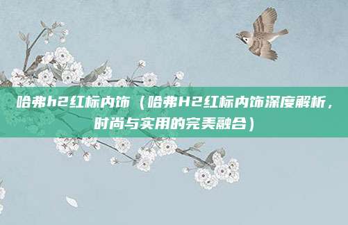 哈弗h2红标内饰（哈弗H2红标内饰深度解析，时尚与实用的完美融合）