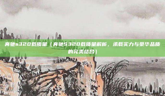 奔驰s320载质量（奔驰S320载质量解析，承载实力与豪华品质的完美结合）