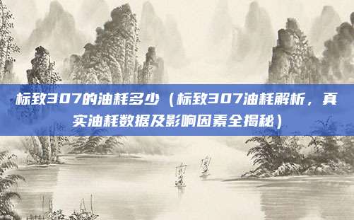 标致307的油耗多少（标致307油耗解析，真实油耗数据及影响因素全揭秘）