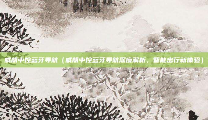 威朗中控蓝牙导航（威朗中控蓝牙导航深度解析，智能出行新体验）