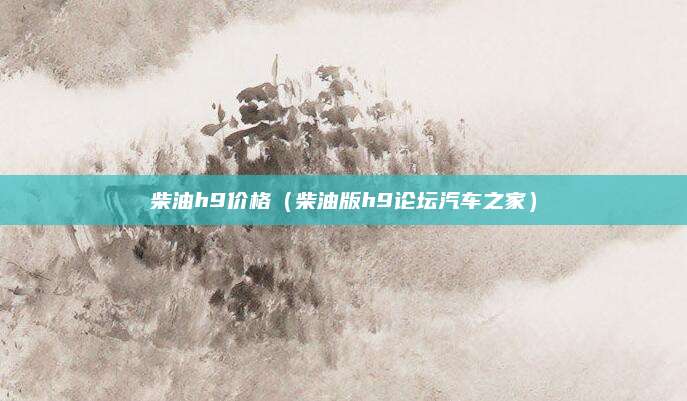 柴油h9价格(柴油版h9论坛汽车之家)