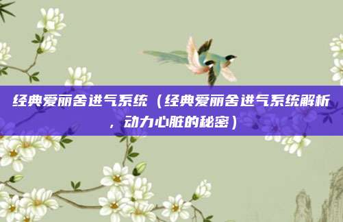 经典爱丽舍进气系统（经典爱丽舍进气系统解析，动力心脏的秘密）