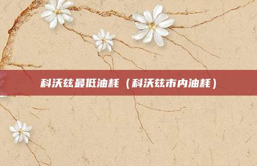 科沃兹最低油耗(科沃兹市内油耗)