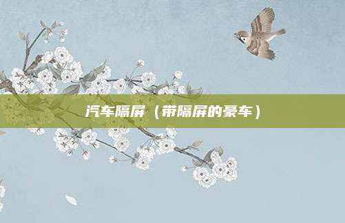 汽车隔屏(带隔屏的豪车)