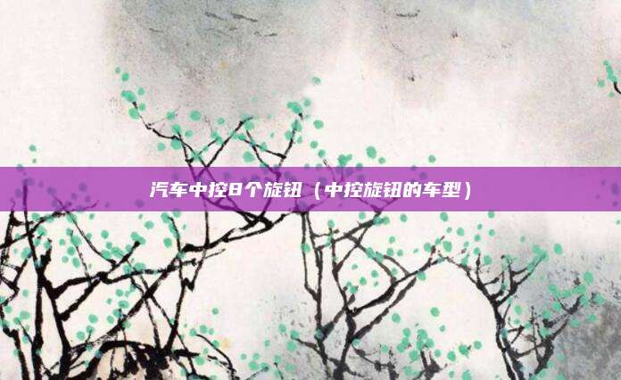 汽车中控8个旋钮(中控旋钮的车型)