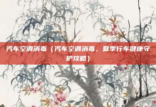 汽车空调消毒（汽车空调消毒，夏季行车健康守护攻略）