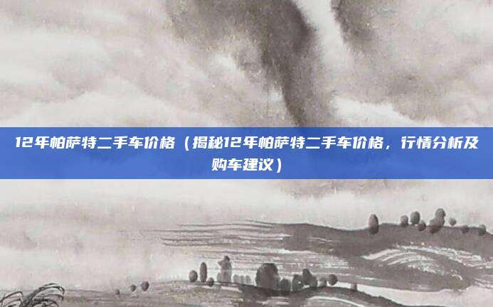 12年帕萨特二手车价格（揭秘12年帕萨特二手车价格，行情分析及购车建议）